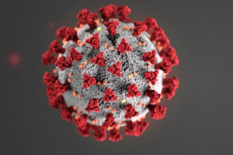 Corona Virus